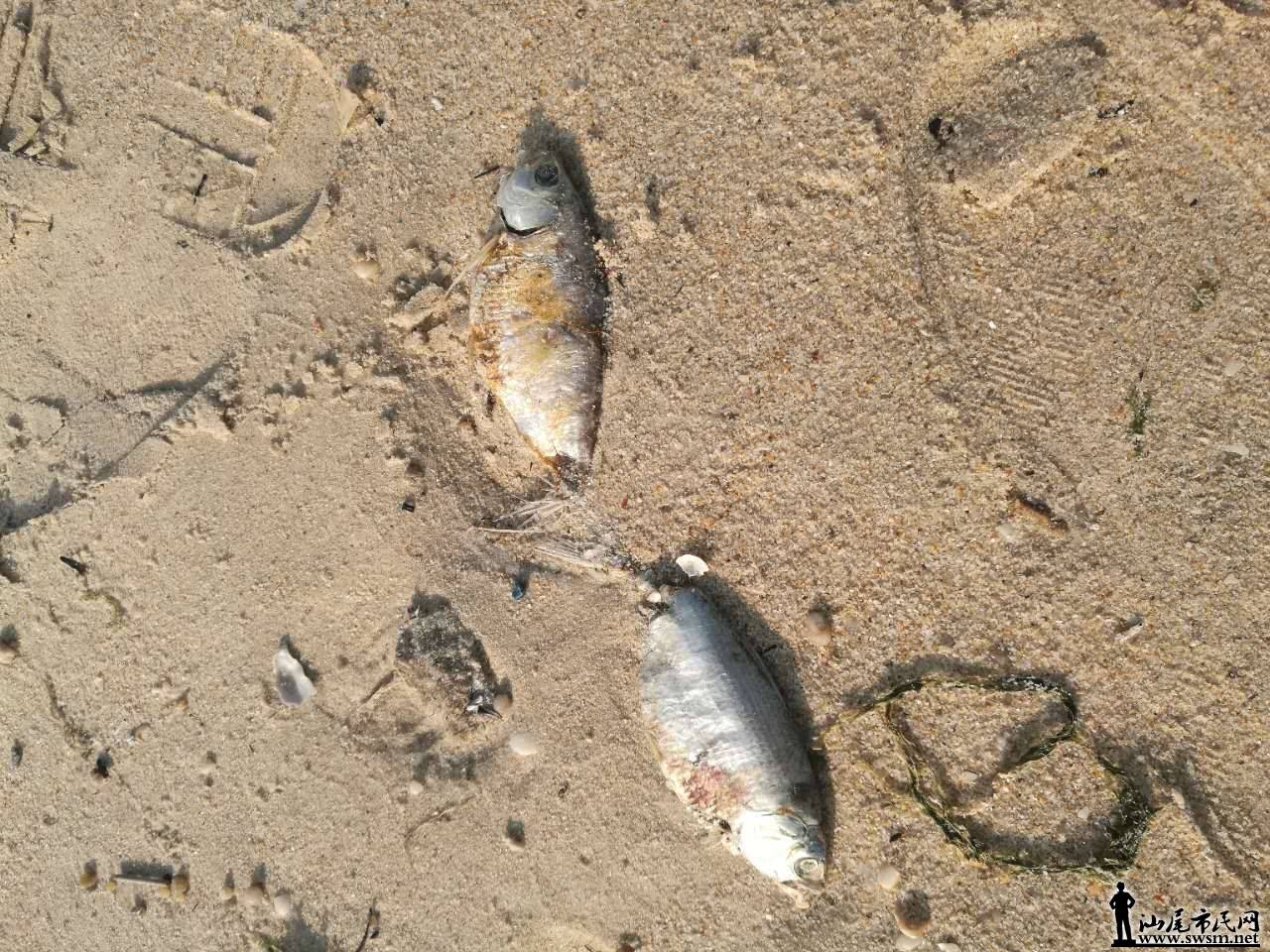 ΢��ͼƬ_20170406113107.jpg