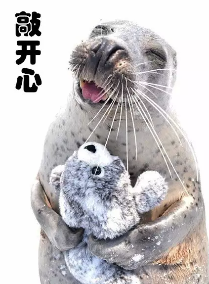 QQ��ͼ20170410181913.png