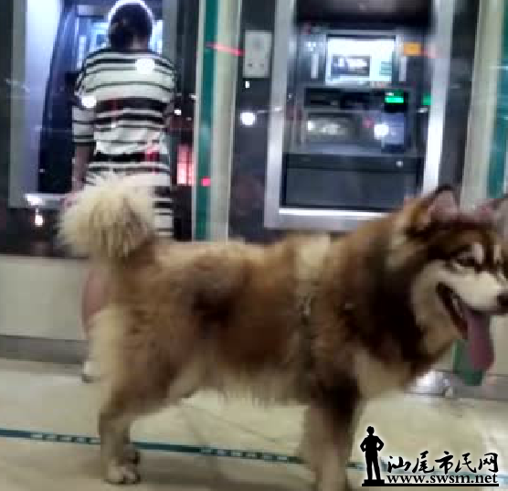 QQ��ͼ20170411102926.png