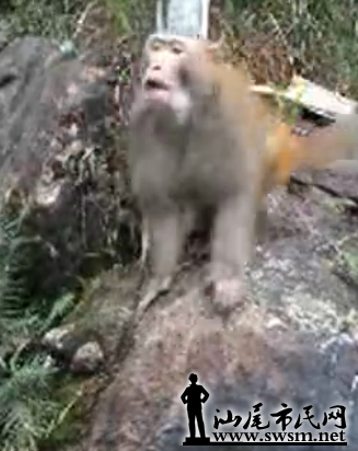 QQ���������δ����.png