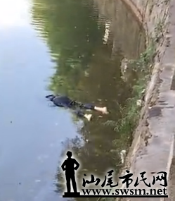 QQ��ͼ20170504093411.png