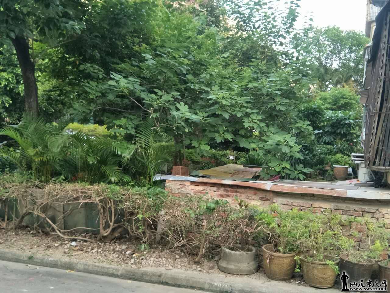 ΢��ͼƬ_20170610210209.jpg