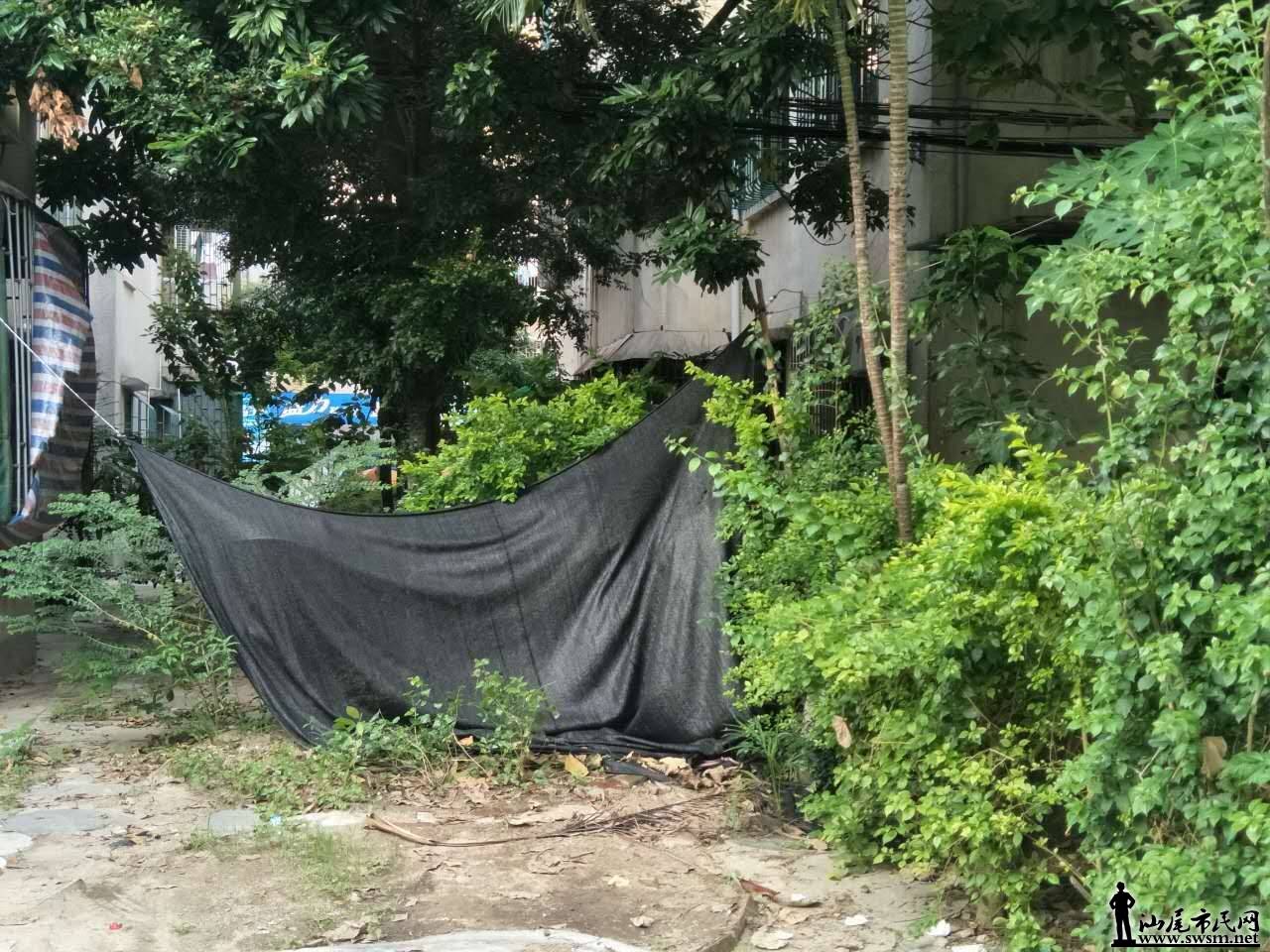 ΢��ͼƬ_20170610210224.jpg