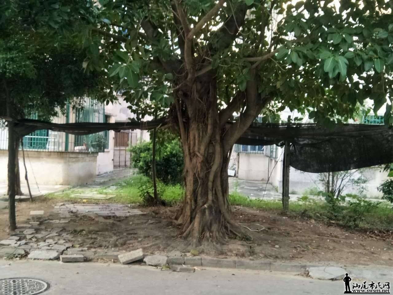 ΢��ͼƬ_20170610210317.jpg