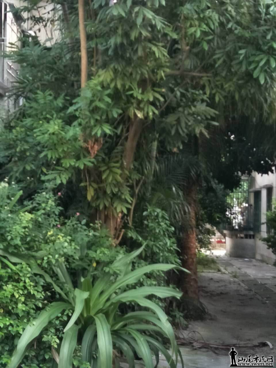 ΢��ͼƬ_20170610210338.jpg