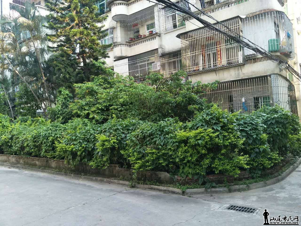 ΢��ͼƬ_20170610210438.jpg