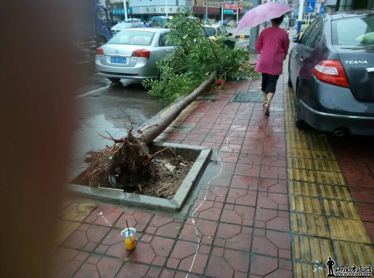 ΢��ͼƬ_20170613172438.jpg