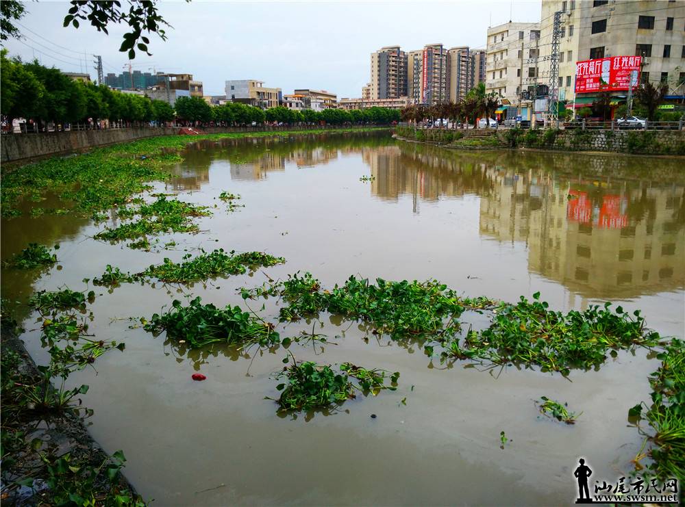 My PicturesIMG_20170614_152203.jpg