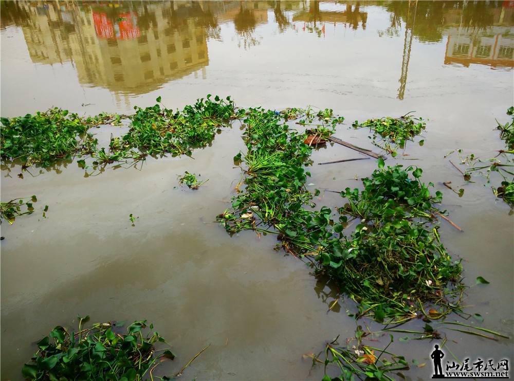 My PicturesIMG_20170614_152207.jpg