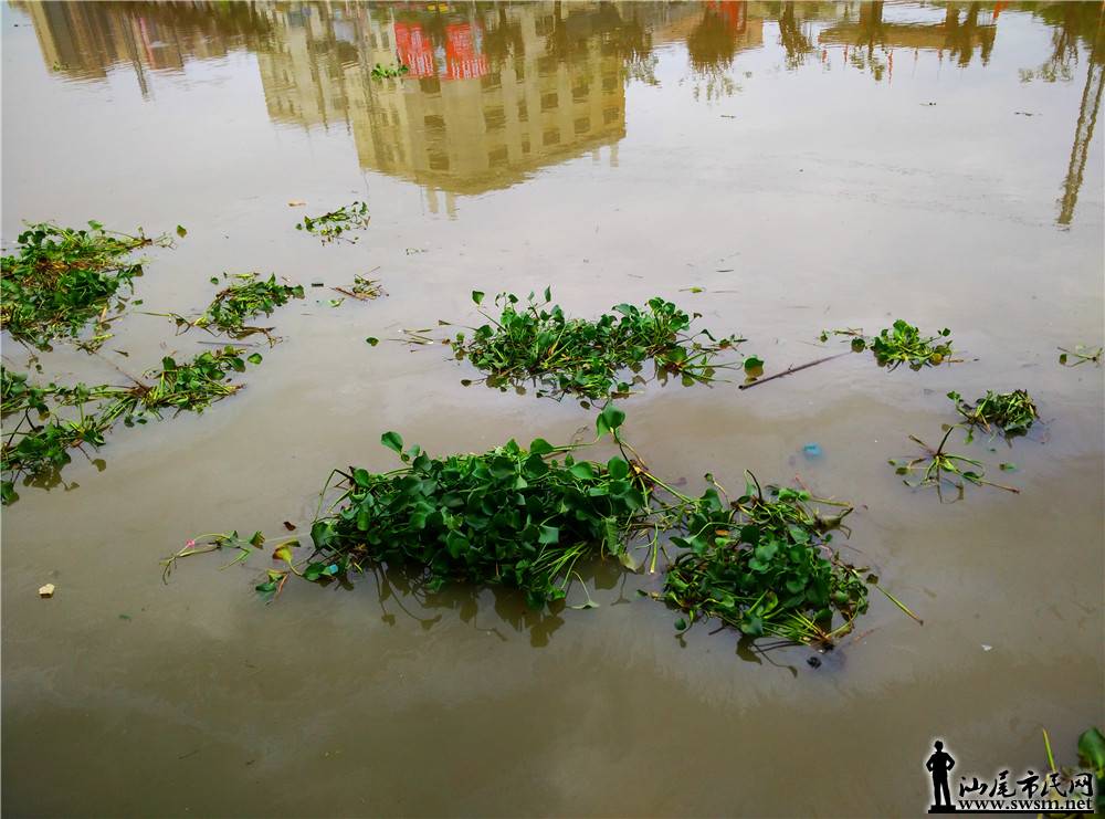 My PicturesIMG_20170614_152232.jpg