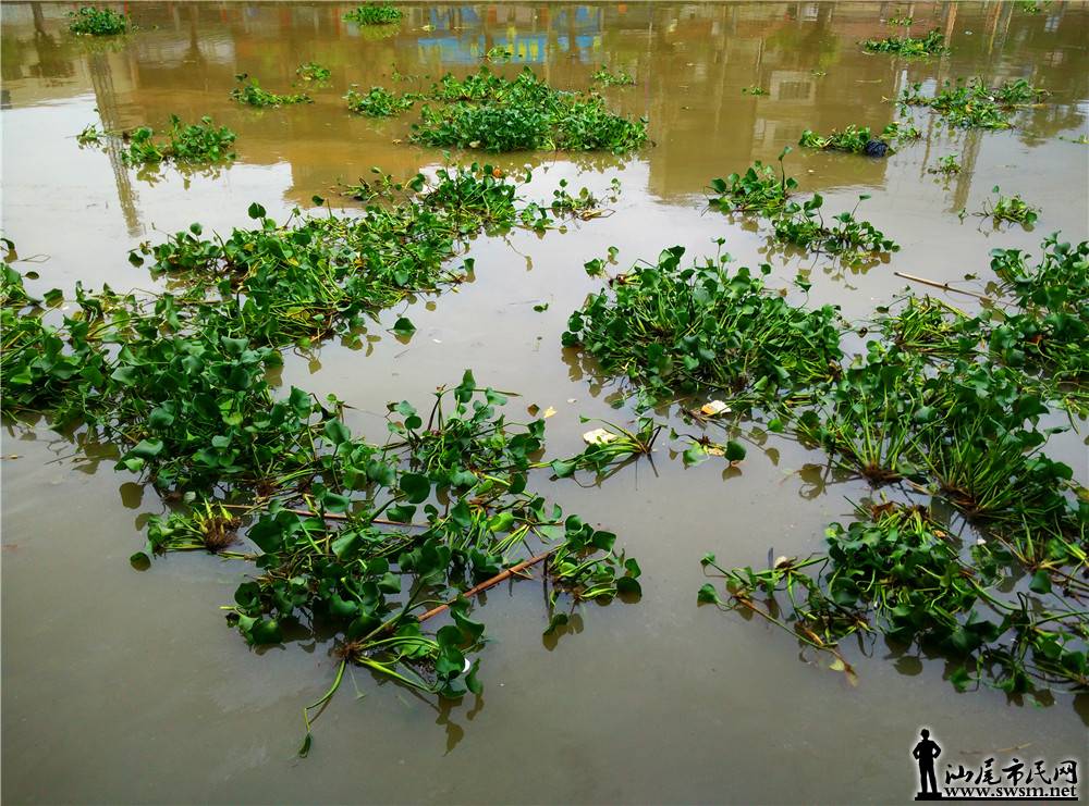 My PicturesIMG_20170614_152508.jpg