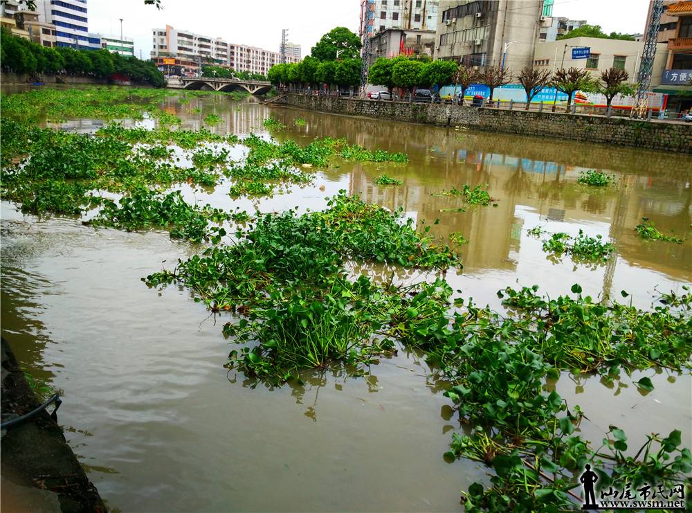 My PicturesIMG_20170614_152505.jpg