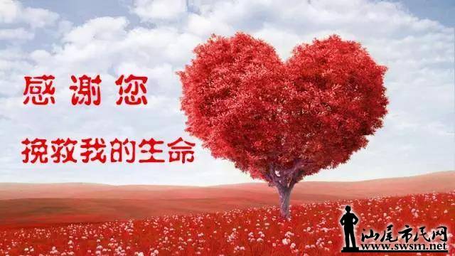΢��ͼƬ_20170629154425.jpg