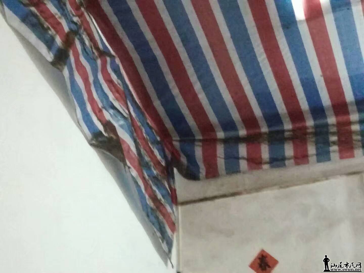 291498905373932.jpeg