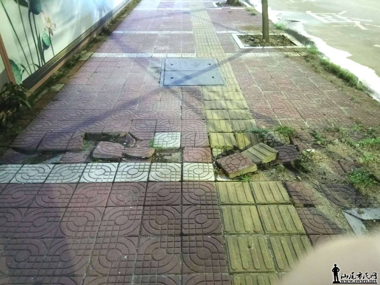 003.jpg