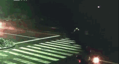 ΢��ͼƬ_20170730095743.gif