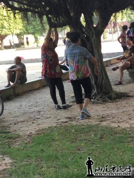 1503205409055_d709d0f2-fad3-4915-8ac1-abe6726f2b0d_by_filter.jpg