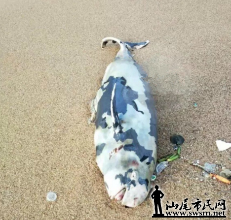 QQ��ͼ20170825143436.png