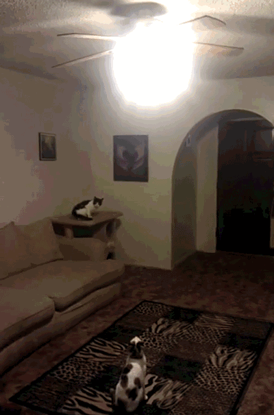 045.gif