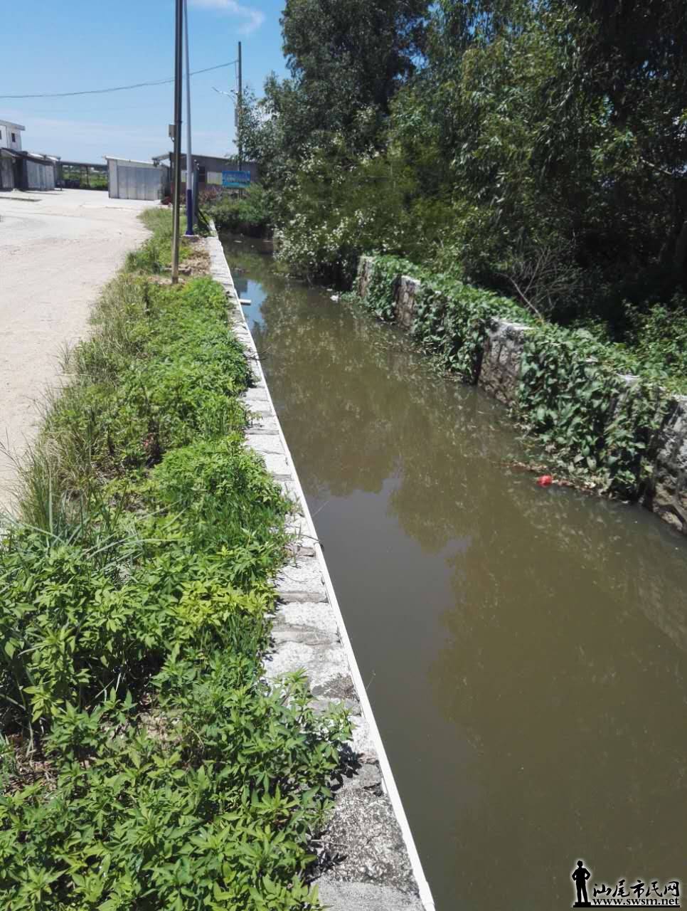 陆丰这条排水沟恶臭难闻,曾有小孩掉进沟里.