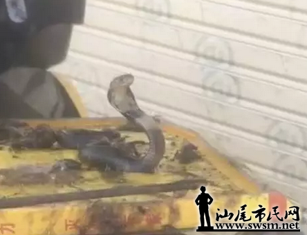 ΢�Ž�ͼ_20170829203824.png