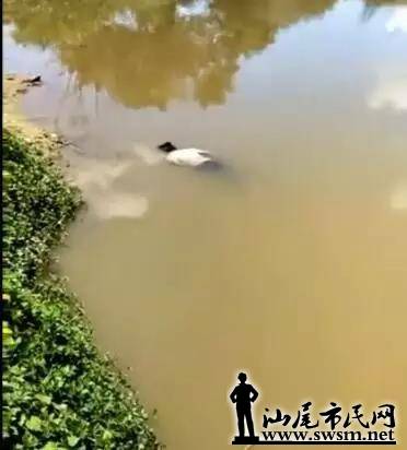 ΢��ͼƬ_20170830035455.jpg