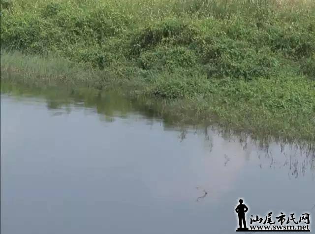 ΢��ͼƬ_20171007091508.jpg