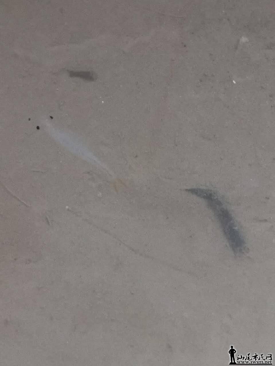 ΢��ͼƬ_20171013012807.jpg