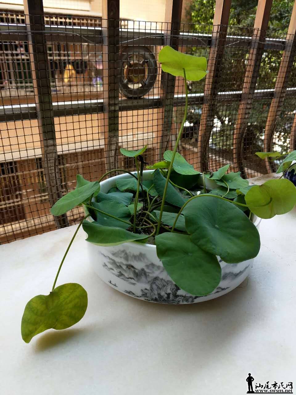 ΢��ͼƬ_20171013012757.jpg