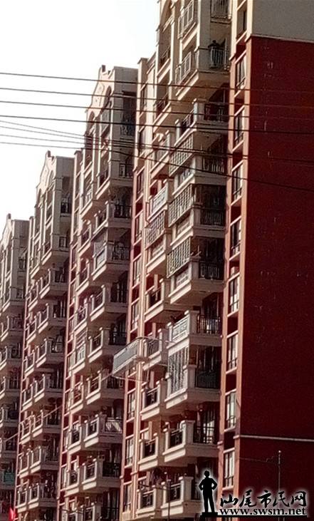 P71025-151531.jpg