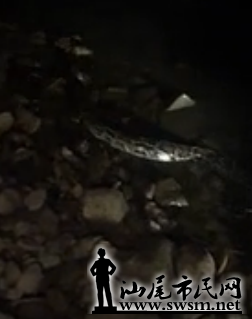 ΢�Ž�ͼ_20171027150042.png