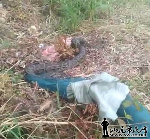 �ѹ���ͼ17��11��05��2211_2.png