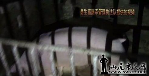 �ѹ���ͼ17��11��24��2332_1.png