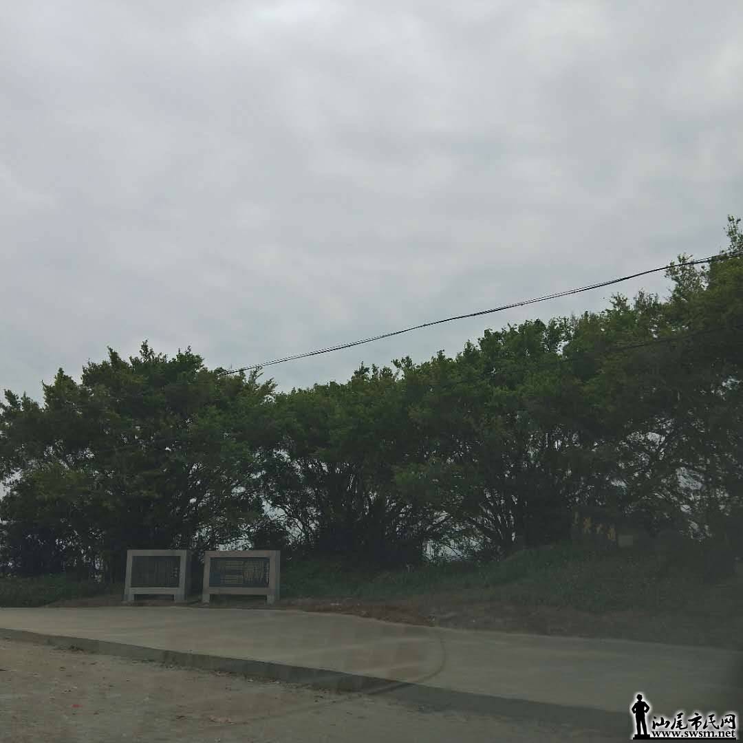 wechat_upload15116750395a1a549f2d834