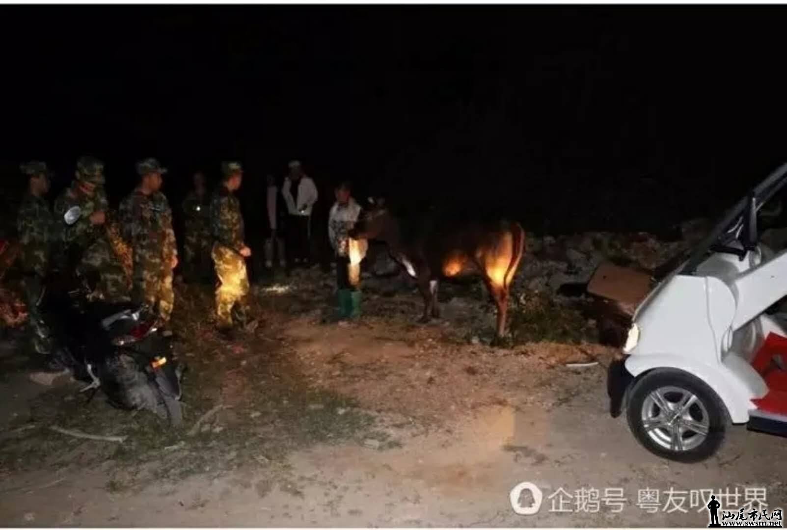 wechat_upload15136154235a37f03fb8972