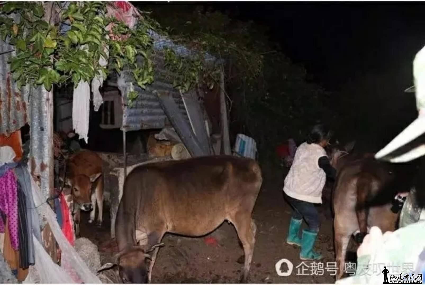 wechat_upload15136154255a37f041d5456