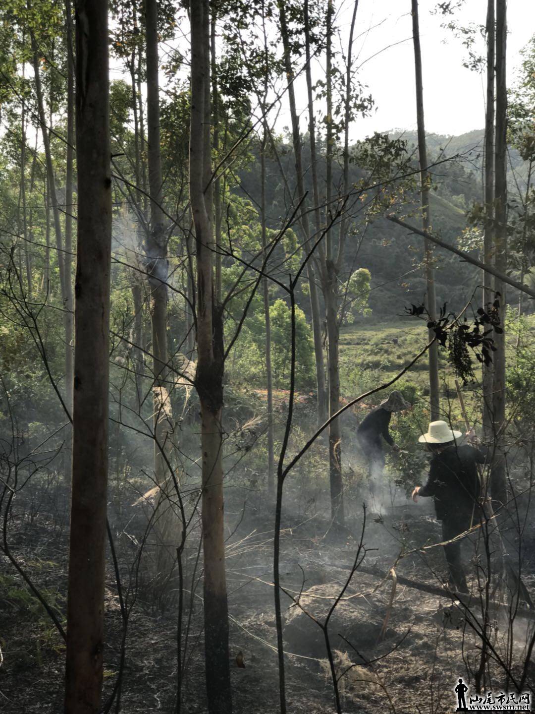 wechat_upload15229486275ac65a13c2f10