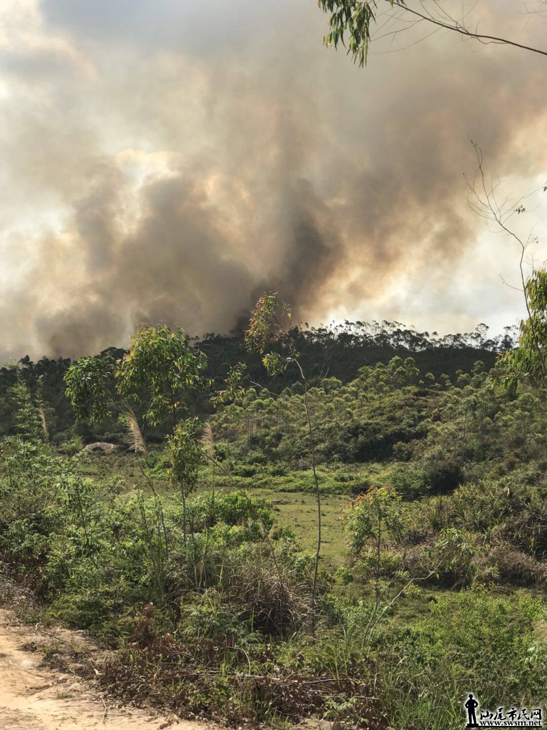 wechat_upload15229486315ac65a1727e95