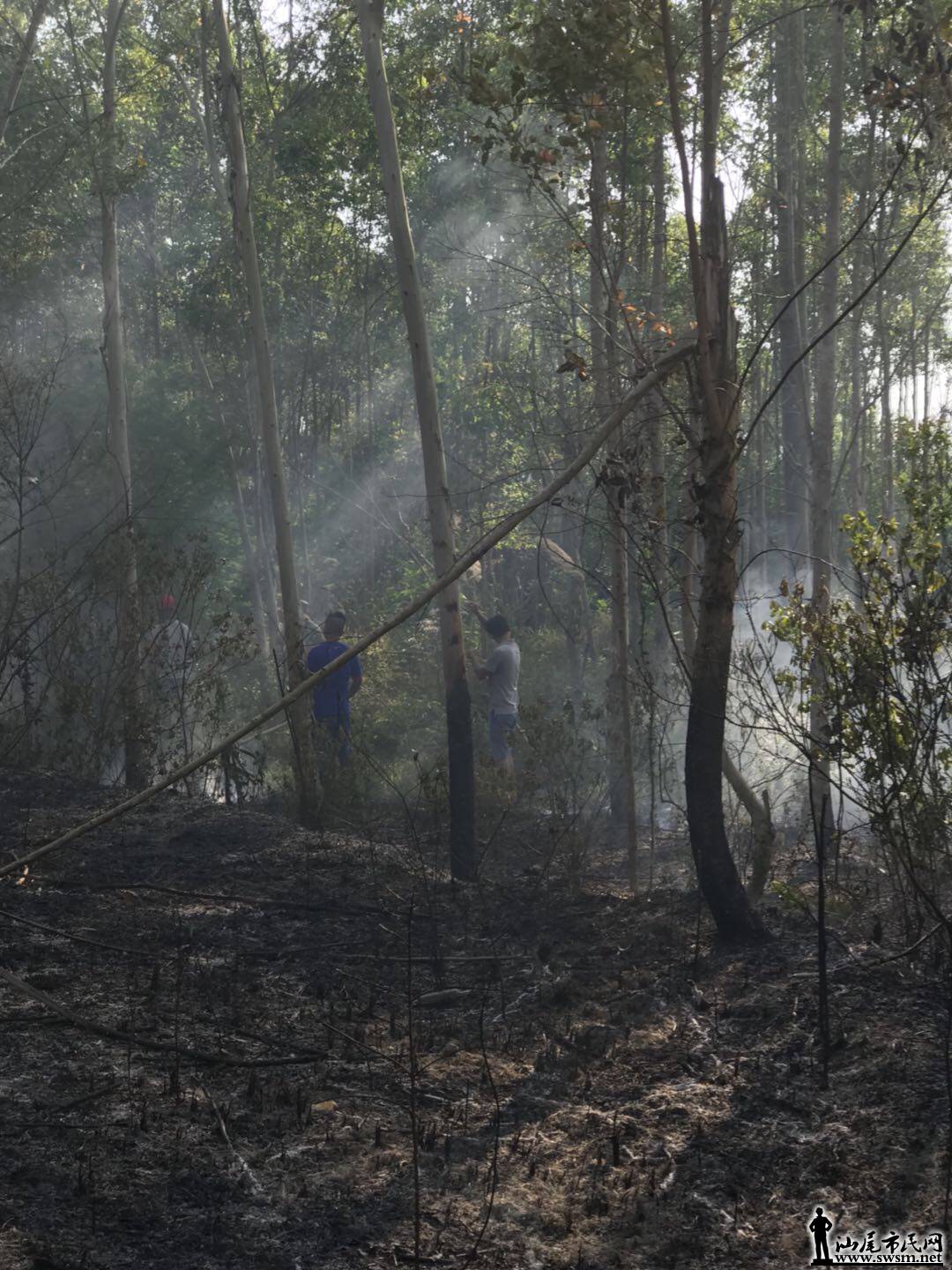 wechat_upload15229490575ac65bc153463