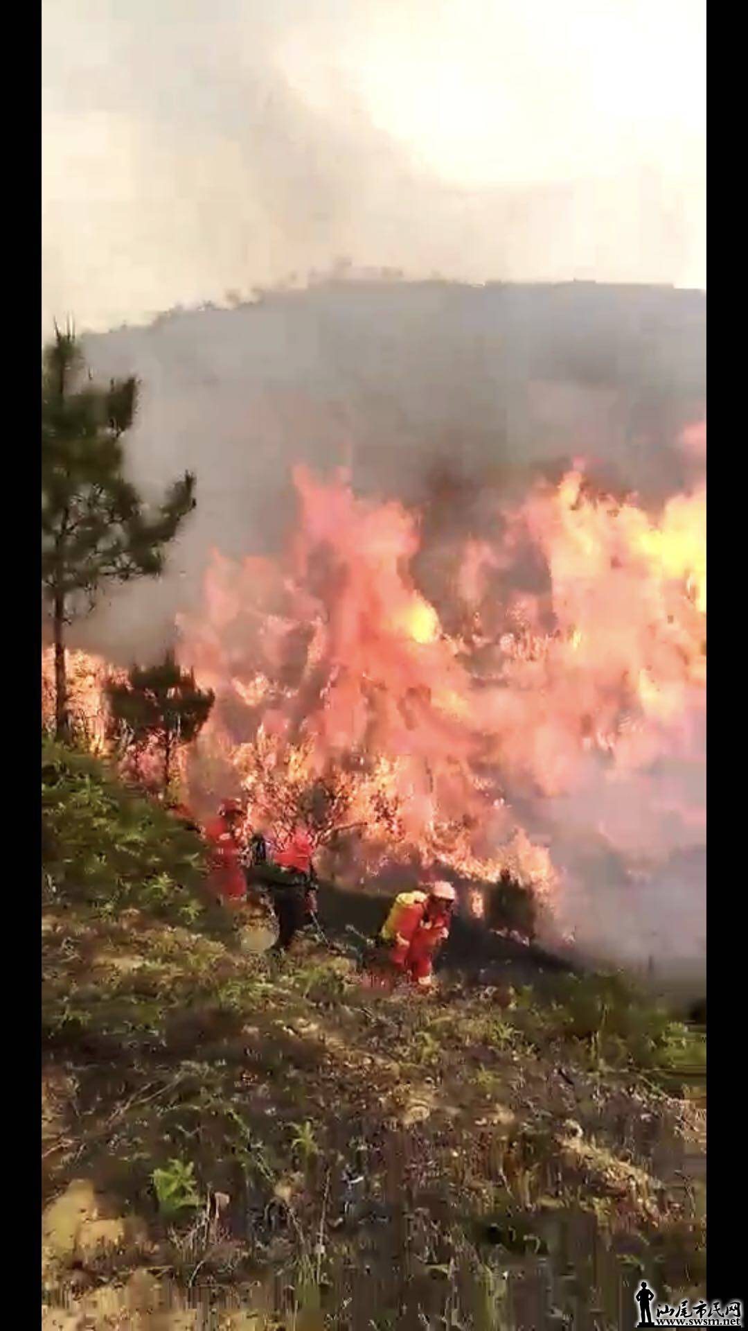 wechat_upload15229954795ac71117e5747