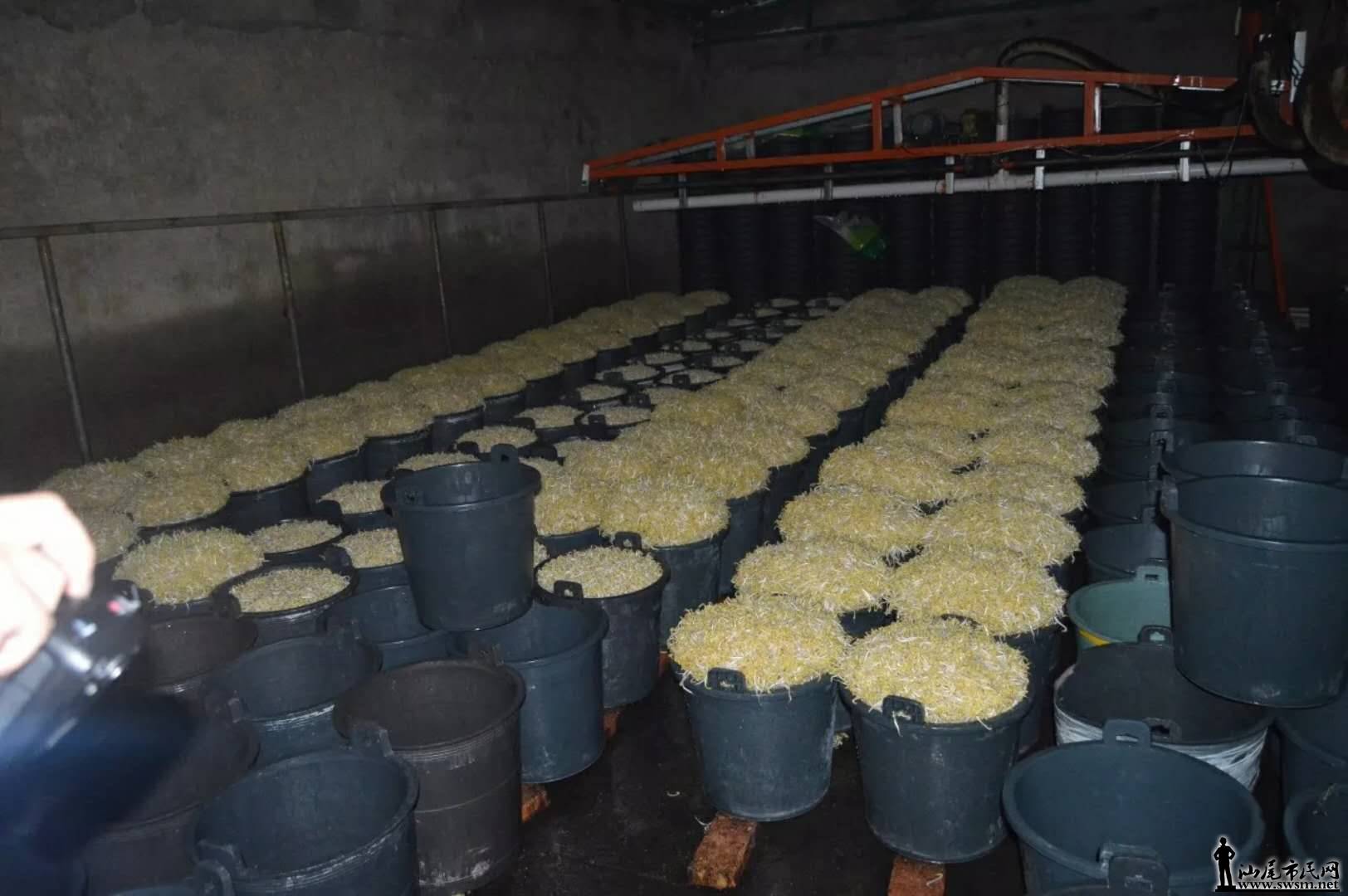 webwxgetmsgimg (17).jpg