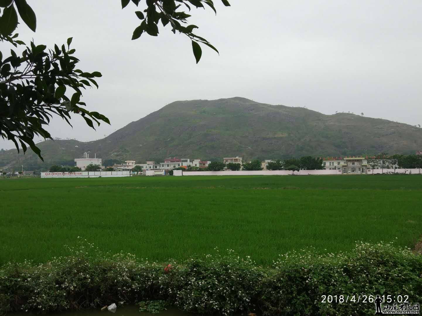 webwxgetmsgimg (11).jpg