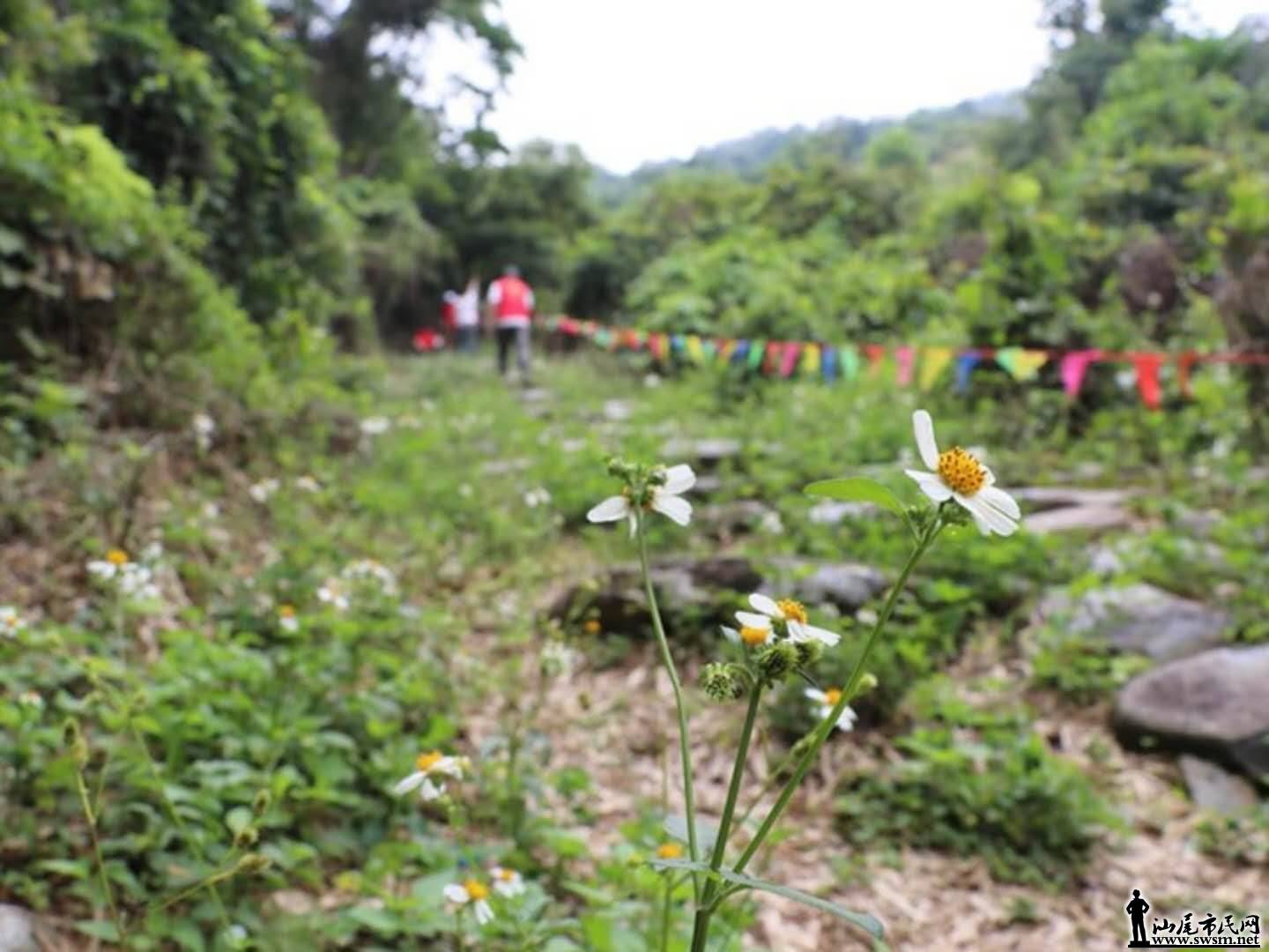 wechat_upload15254375525aec54700a14f