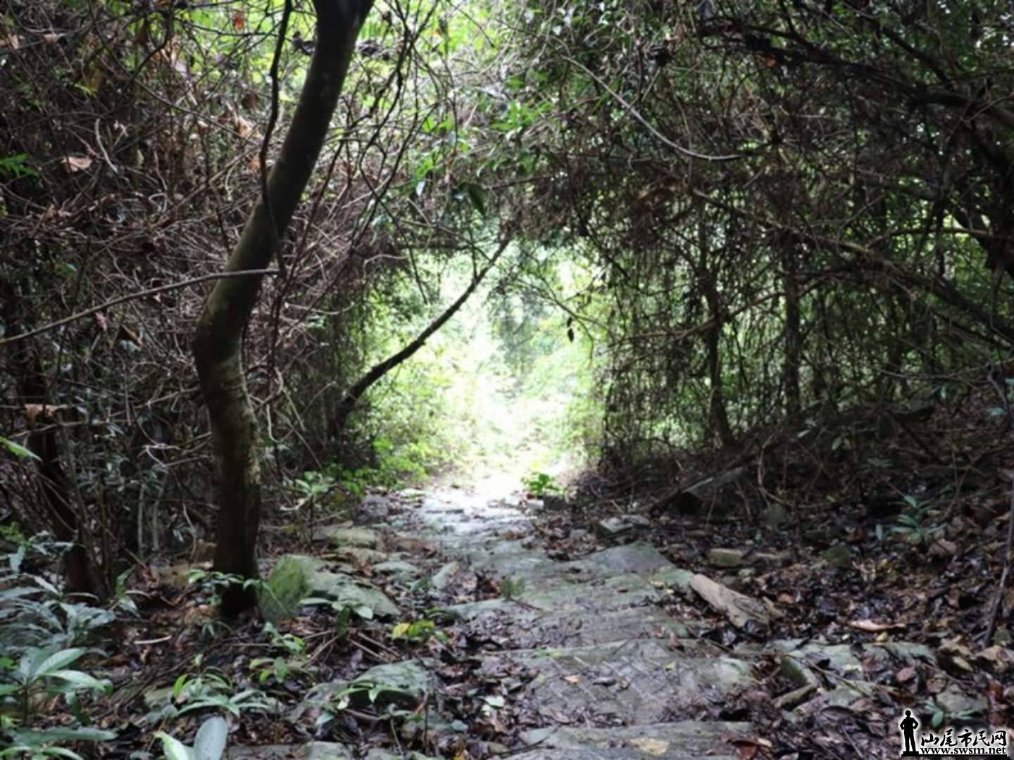 wechat_upload15254375565aec54748380a