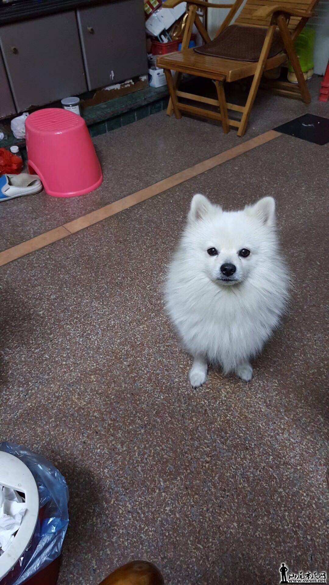 wechat_upload15255070995aed641b49100