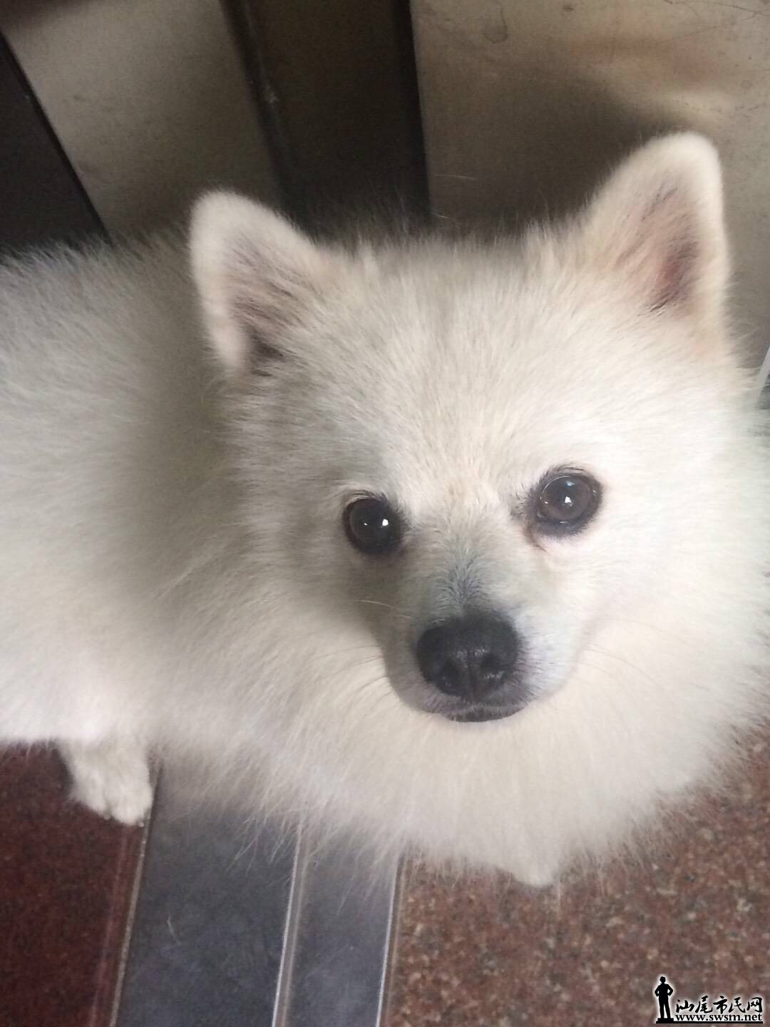 wechat_upload15255071005aed641c2b39f