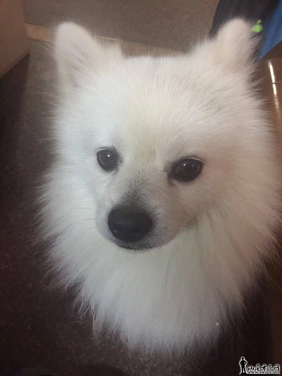 wechat_upload15255071015aed641d52f3c