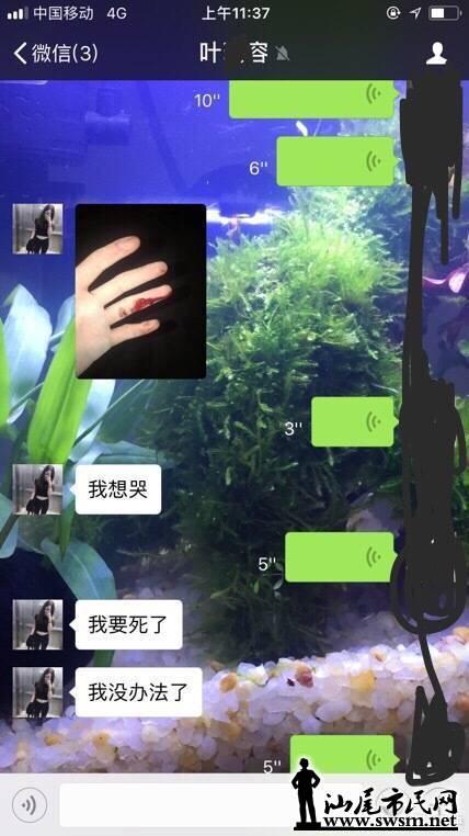 wechat_upload15262779605af92748049d6