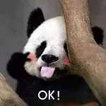 ������֪ͨ��������β��Сѧ9��1�Ų���ѧ���Ӻ�����