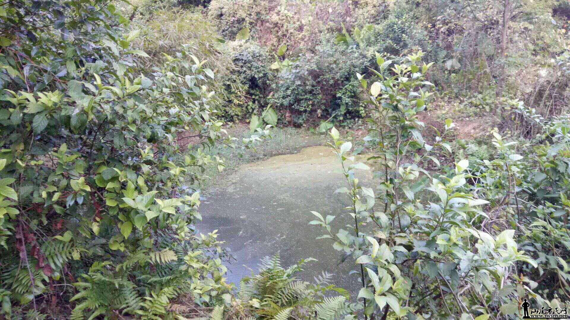 �Ŵ��ͬ־��ϵ��Ǽ���Ǵ�